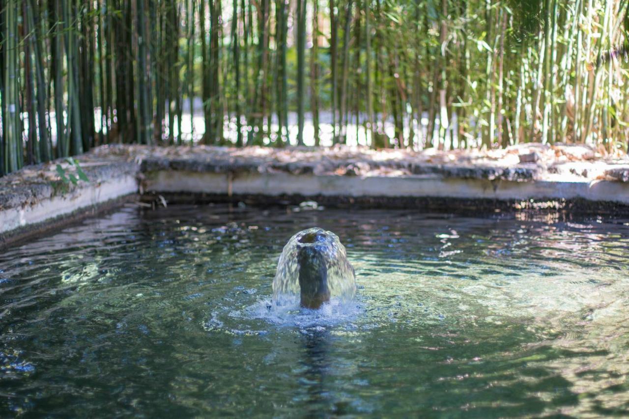 Las Aguas Del Arbuniel Con Pista De Padel Екстер'єр фото